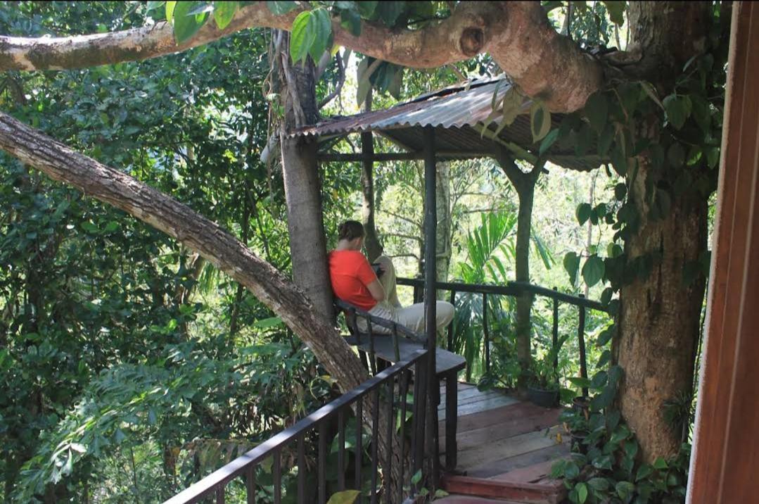 Pepper Garden Resort Ella Exterior photo
